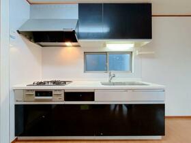 愛知県清須市西田中蓮池