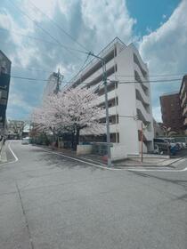佐佐木第二マンション　布田駅歩１９分
