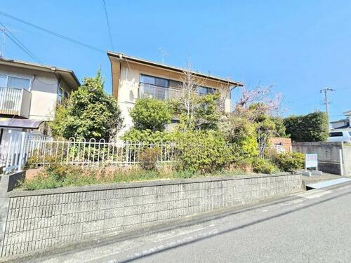 Image 17