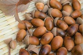 detached 静岡県田方郡函南町平井