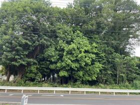 埼玉県狭山市大字水野