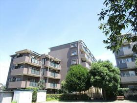 ドラゴンマンション橋本十弐番館１階　橋本駅歩１０分