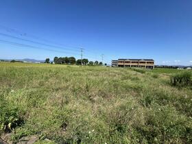 熊本県八代市千丁町太牟田