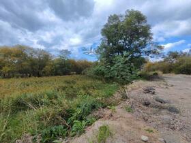 北海道石狩市花川東