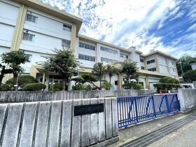 バースシティ・ザ・マーク鷺沼