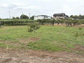 愛知県豊橋市石巻本町字辻川