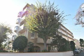 豊栄アンバサダー調布