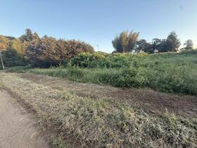 茨城県稲敷郡阿見町大字石川