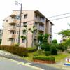 中落合第２住宅４９２号棟 4階 築44年6ヶ月の賃貸物件