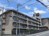 スターハイツ住吉川 4階 築52年1ヶ月の賃貸物件
