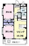 テラスハクのイメージ