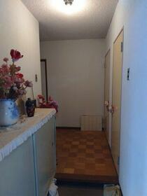 65725 木之本アイリス