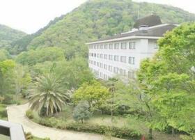 セザール修善寺