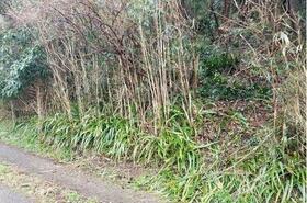 千葉県安房郡鋸南町横根