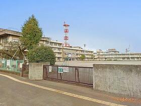 サンアリーナ相模原西門桜通り