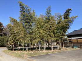 茨城県つくば市明神