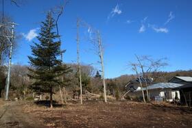 長野県北佐久郡軽井沢町大字追分