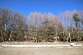 長野県北佐久郡御代田町大字塩野
