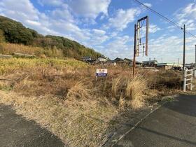 熊本県山鹿市杉