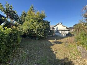 熊本県熊本市南区富合町杉島