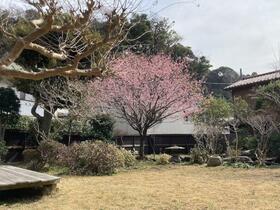 神奈川県鎌倉市稲村ガ崎5丁目