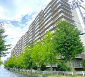 北海道札幌市厚別区大谷地東７丁目