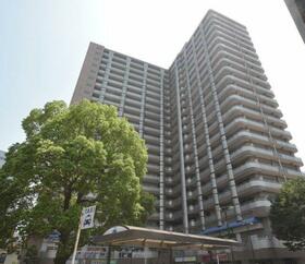 ビューネタワー平井　３階　新　規　リ　ノベーション