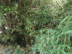 神奈川県横須賀市汐入町３丁目