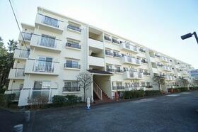 サンビーチ平塚