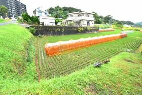 鹿児島県霧島市隼人町野久美田