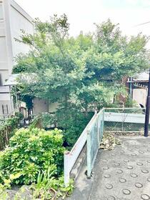 東京都新宿区南元町