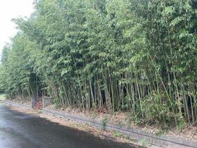 千葉県山武市上横地