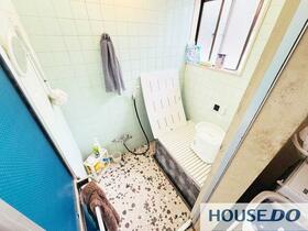 Image 14