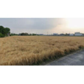 佐賀県佐賀市川副町大字南里