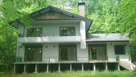 長野県北佐久郡軽井沢町大字軽井沢