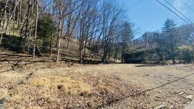 長野県北佐久郡軽井沢町大字発地ニュータウン