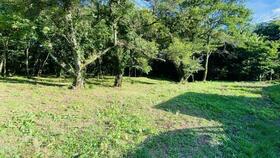 長野県北佐久郡御代田町大字御代田