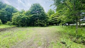 長野県北佐久郡軽井沢町大字長倉