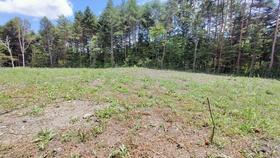 長野県北佐久郡軽井沢町大字長倉大日向