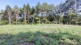 長野県北佐久郡軽井沢町大字長倉大日向