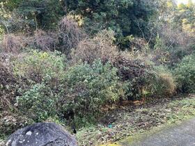 鹿児島県薩摩川内市天辰町