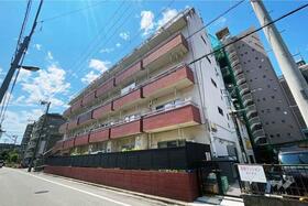 サンライズ蓮根