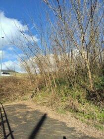 岐阜県岐阜市日野西３丁目