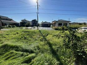 熊本県八代市植柳新町２丁目