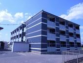 レオネクスト恵のイメージ