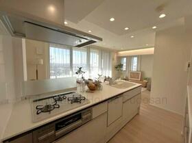 ペット２匹可　２０１５年築　パークホームズ二子玉川ヒルトップ３Ｆ