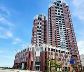 ＴＨＥ　ＴＯＷＥＲＳ　ＤＡＩＢＡ