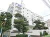 豊栄西荻マンション 9階 築55年の賃貸物件