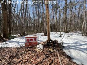 長野県上水内郡信濃町大字富濃