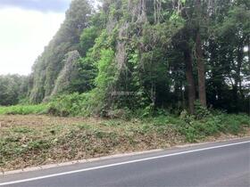 茨城県つくば市今鹿島